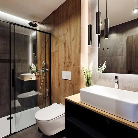 Volavka Apartment *
